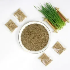 Hydroponic Fresh Cat Grass Growing Kit at Home