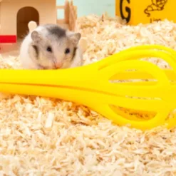 Hamster food scoop and sand filter